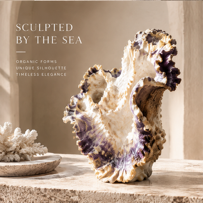 Ruffled shell vase displayed without flowers, showing its irregular organic silhouette